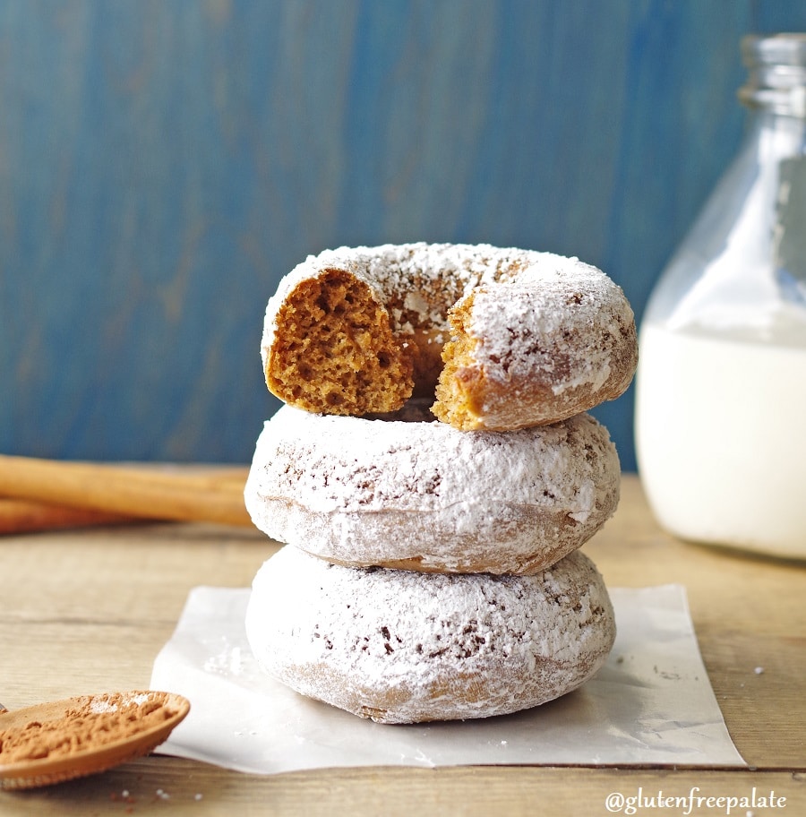 a close up of three gingerbread donuts coated in powdered sugar stacked, the top donut has a bite out