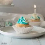 a close up of a gluten free vanilla cupcake topped with blue and white swirled frosting, on a white plate