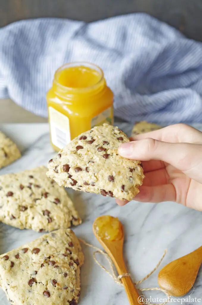 a hand holding a gluten free scone with chocolate chips, a jar of lemon curd is in the back