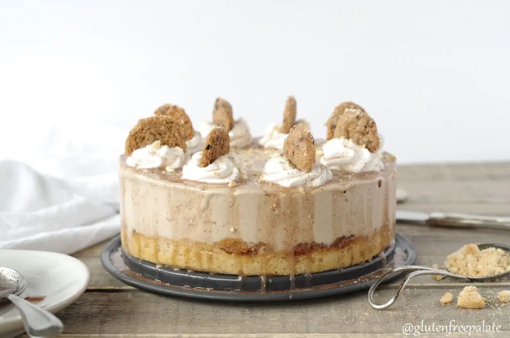 gluten free ice cream cake with snickerdoodles on top
