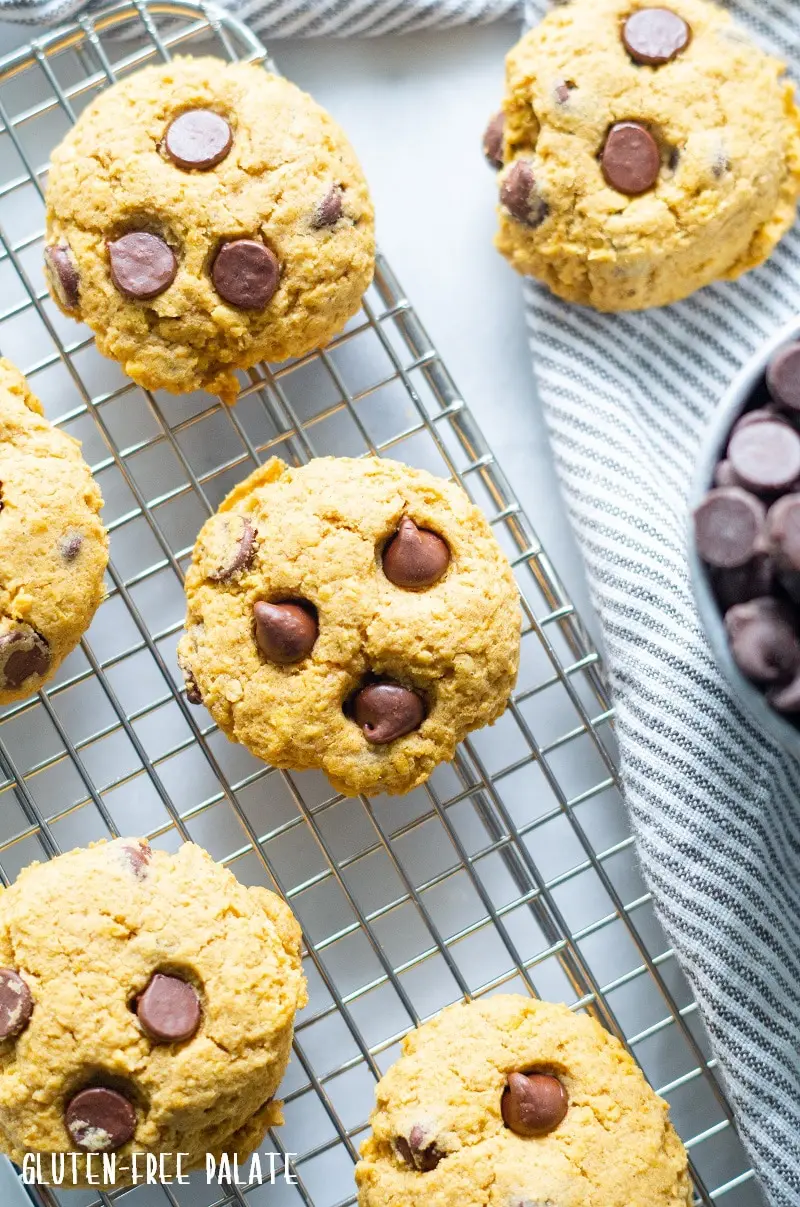 orange vegan pumpkin cookies with chocolate chips on a wire cooling rack