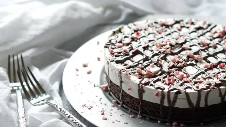 a close up of a side view of a brownie ice cream cake topped with chocolate sauce and crushed candy cane pieces