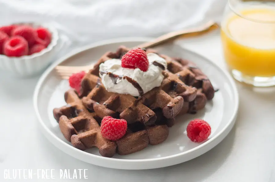 a close up of gluten free chocolate waffles on a white plate with raspberries