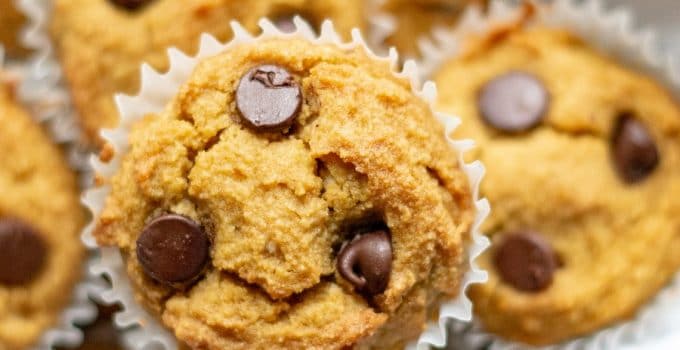 a close up of a top down view of paleo pumpkin muffins with chocolate chips, in a bowl