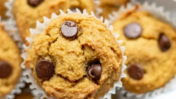 a close up of a top down view of paleo pumpkin muffins with chocolate chips, in a bowl