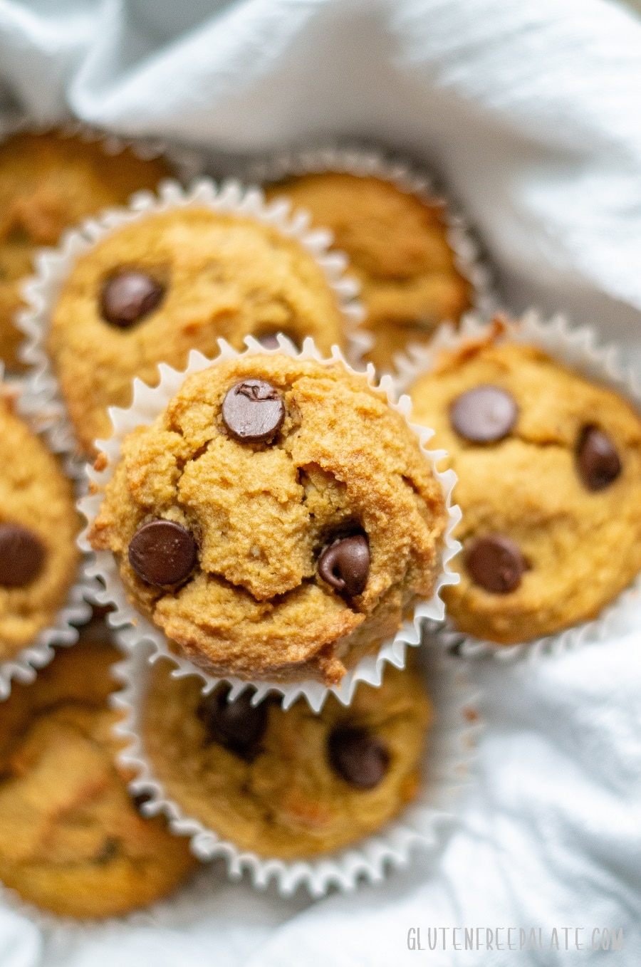 a top down view of paleo pumpkin muffins with chocolate chips