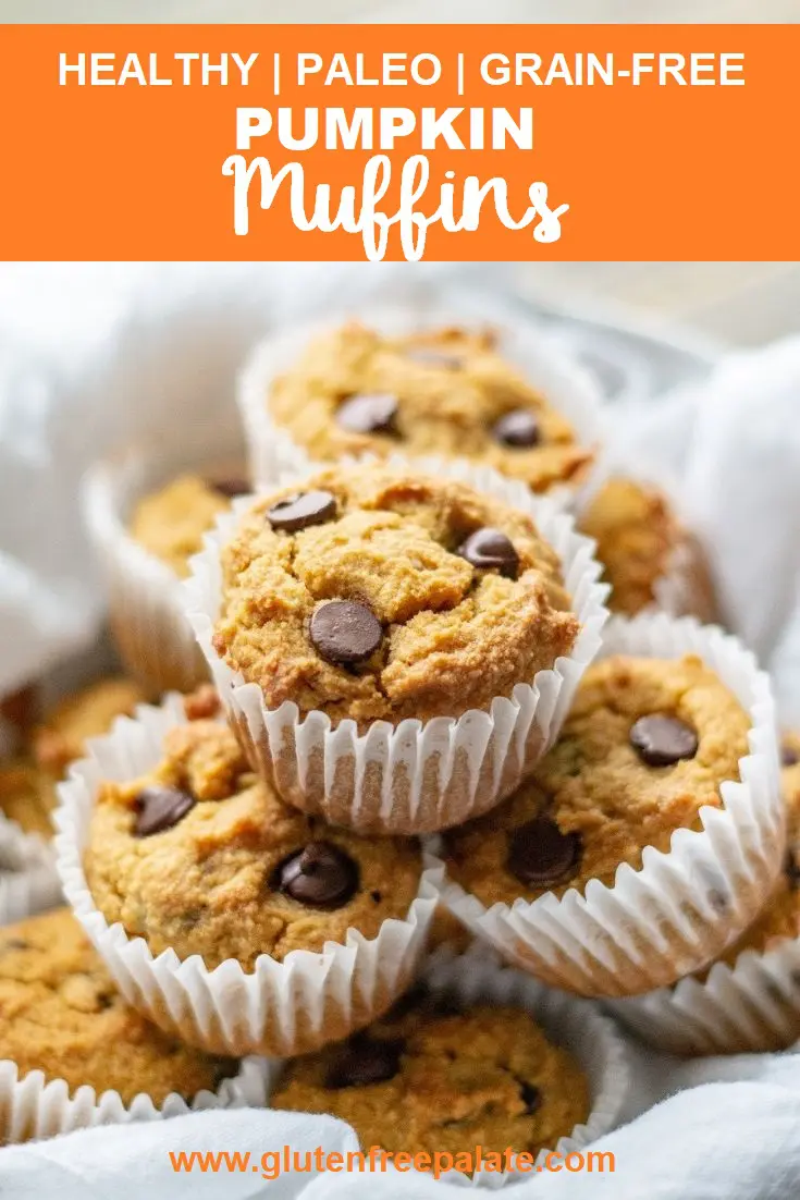 a pinterest pin of pumpkin muffins with chocolate chips with the words healthy paleo grain-free pumpkin muffins written on top