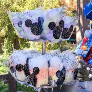 Cotton candy in bags at Disneyland