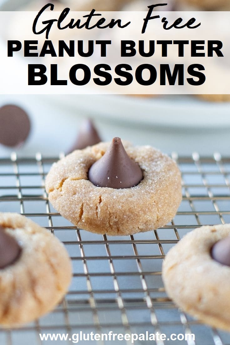 a peanut butter cookie with a hershey kiss pressed into the top with the text overlay gluten free peanut butter blossoms