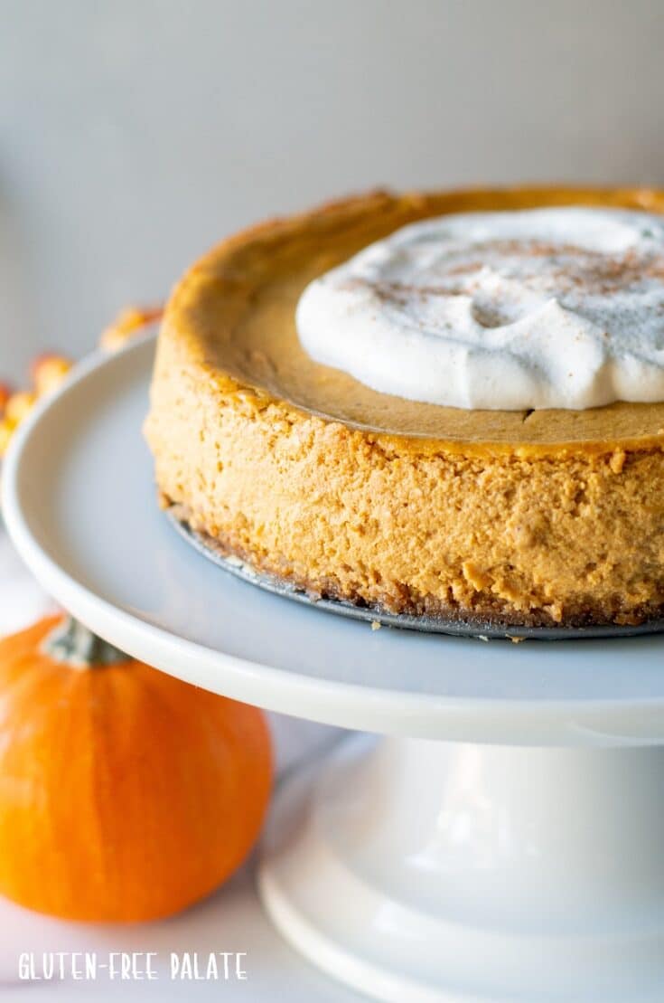 Gluten-Free Pumpkin Cheesecake on a white cake platter with whipped cream on top