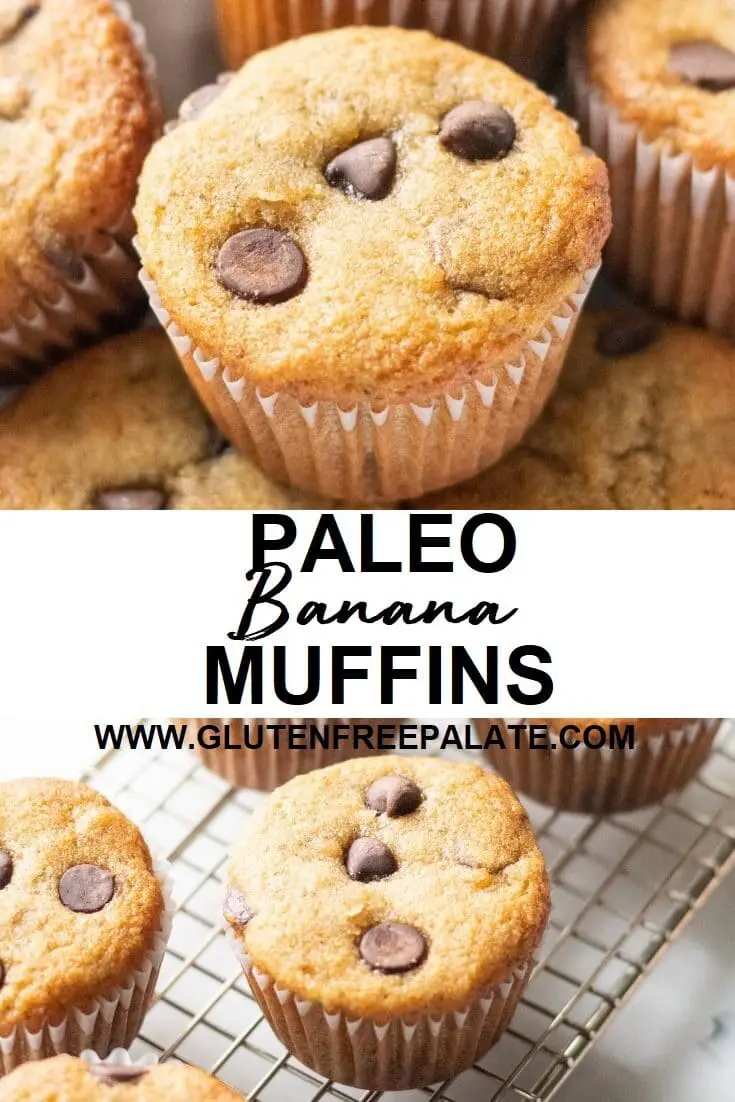 collage of two images, one with a muffin with chocolate chips, on with a muffin on a cooling rack with the words paleo banan muffins written in the center