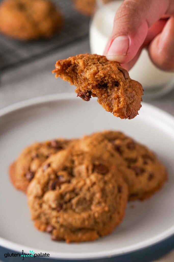 Gluten-Free Peanut Butter Chocolate Chips cookie being held with a bite out of it.