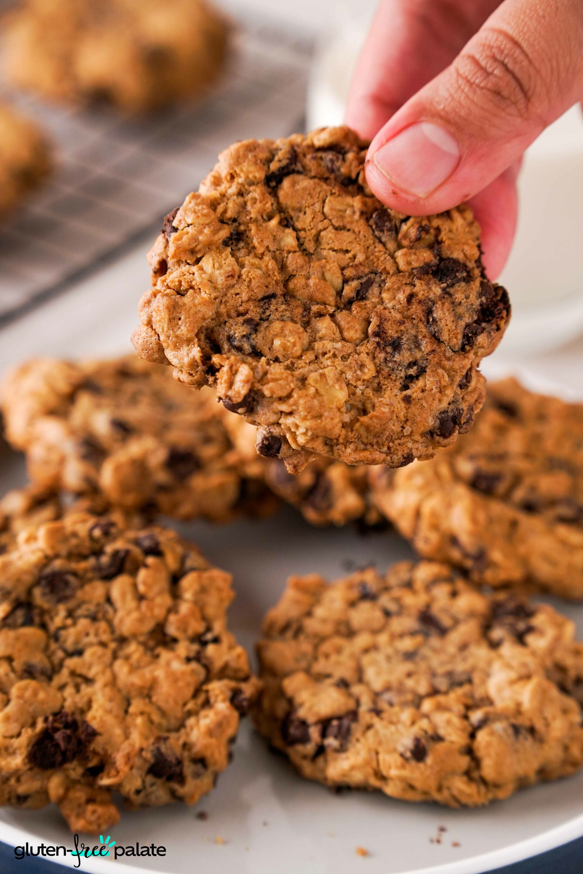 Close up of Gluten-Free oatmeal cookies being held in a hand.