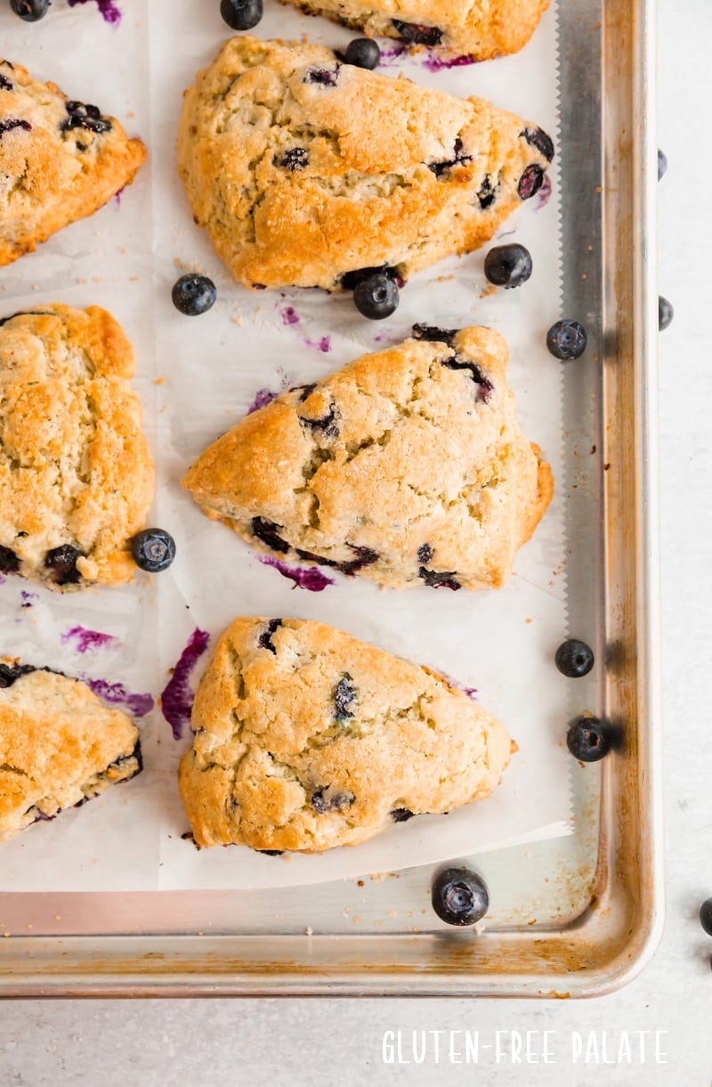 gluten-free blueberry scones on a baking sheet