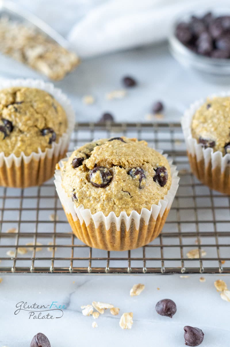 oat flour chocolate chip muffins on a cooling rack