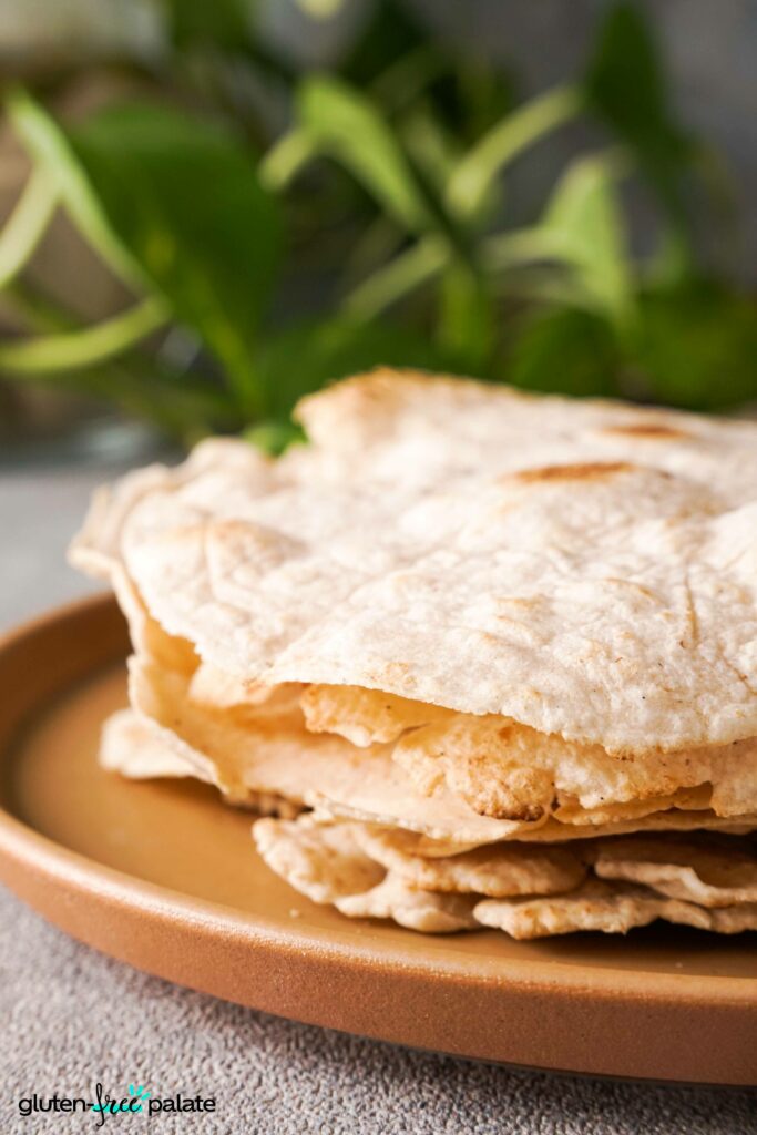 Stacked Gluten-Free Tortillas on a plate.