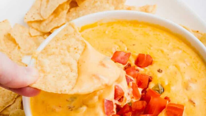 a chip with smoked queso