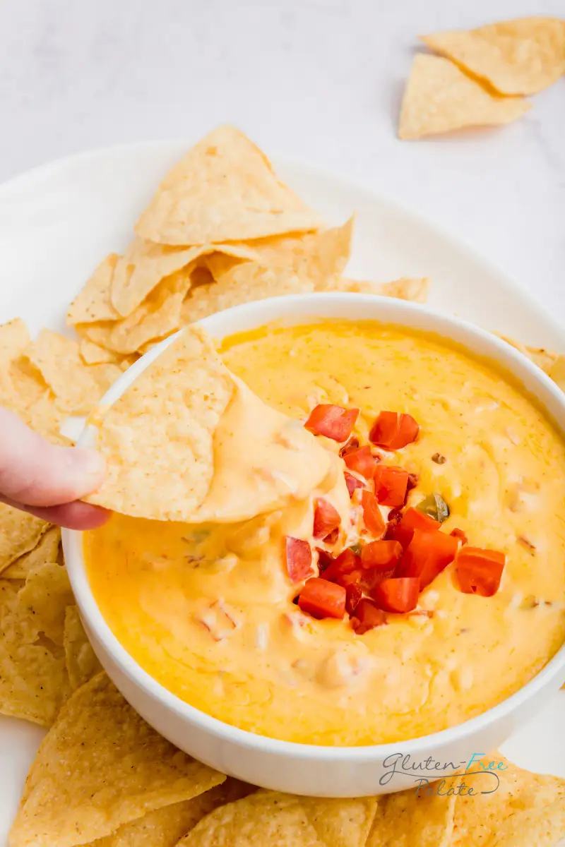 a chip with smoked queso
