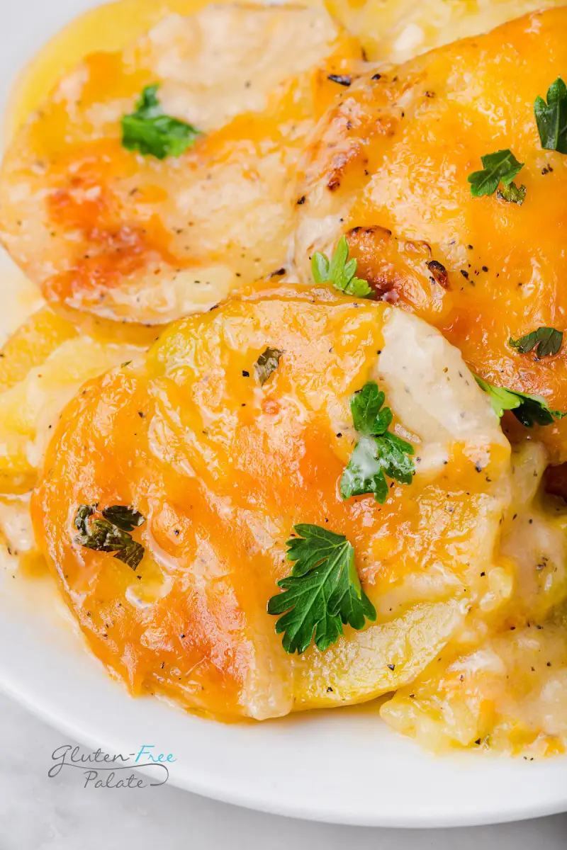 gluten-free scalloped potatoes on a plate garnished with fresh parsley