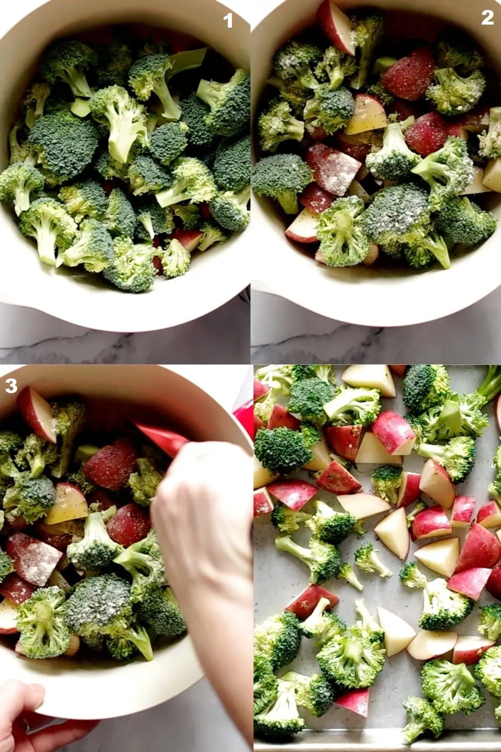 photo collage showing 4 steps needed to make roasted broccoli and potatoes