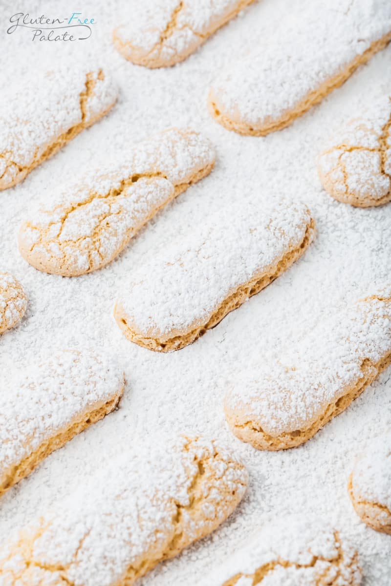 gluten-free ladyfingers laid out evenly with powdered sugar on top and surrounding them