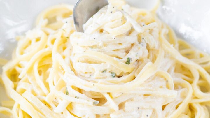 a bowl of pasta and alfredo sauce, twirled with a fork.