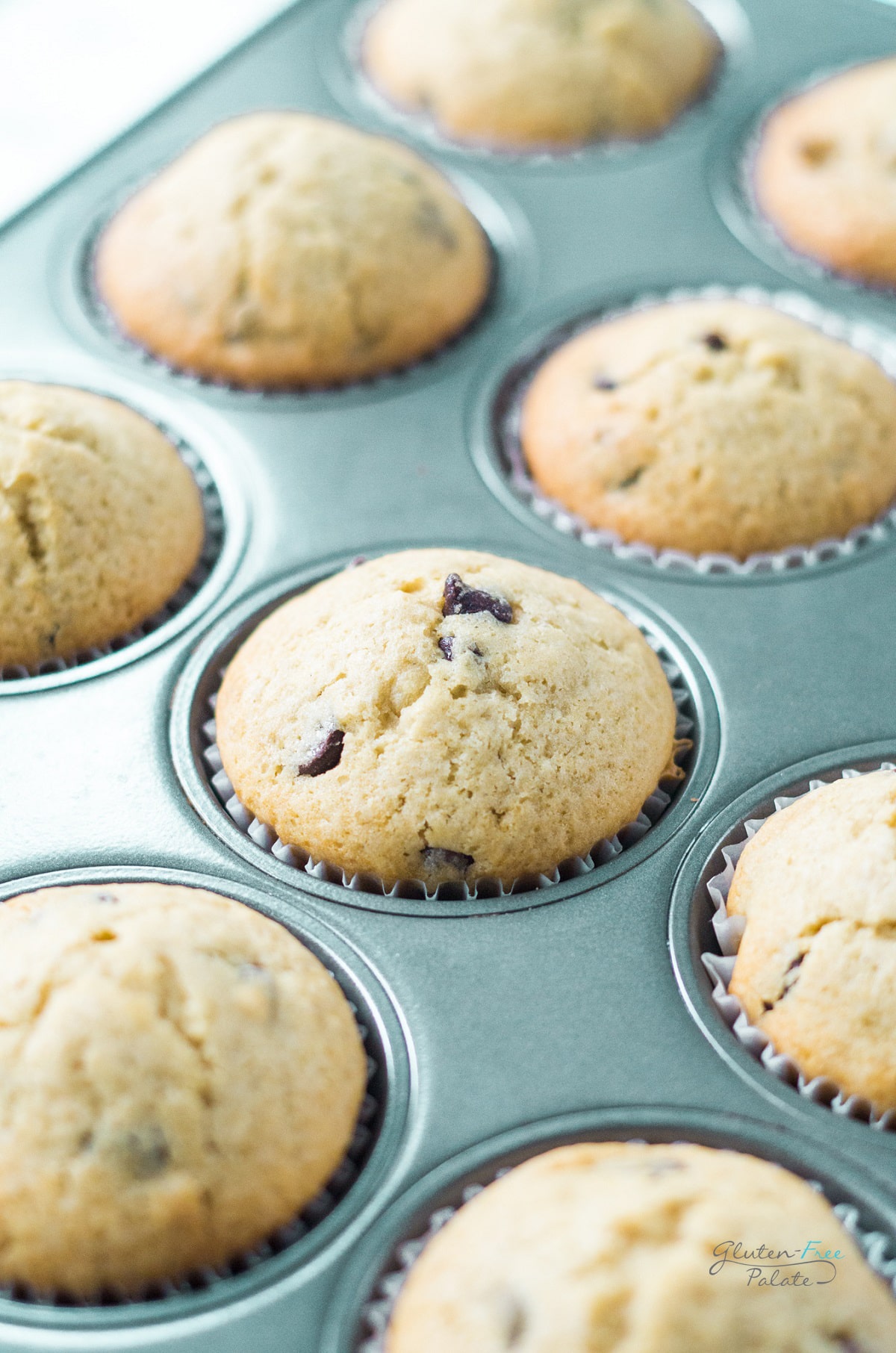 gluten free chocolate chip muffins in a muffin tin