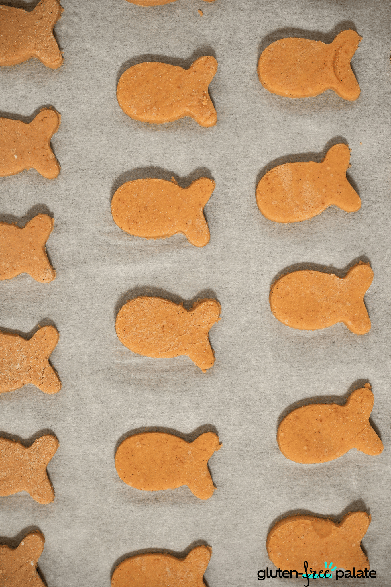 Homemade gluten-free goldfish crackers on a lined baking sheet, golden brown and fresh from the oven