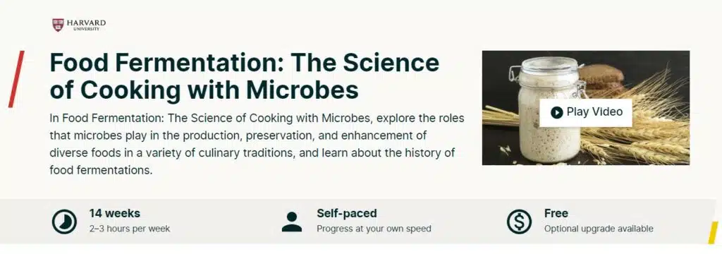 Website image of a course called Food Fermentation: The Science of Cooking with Microbes.