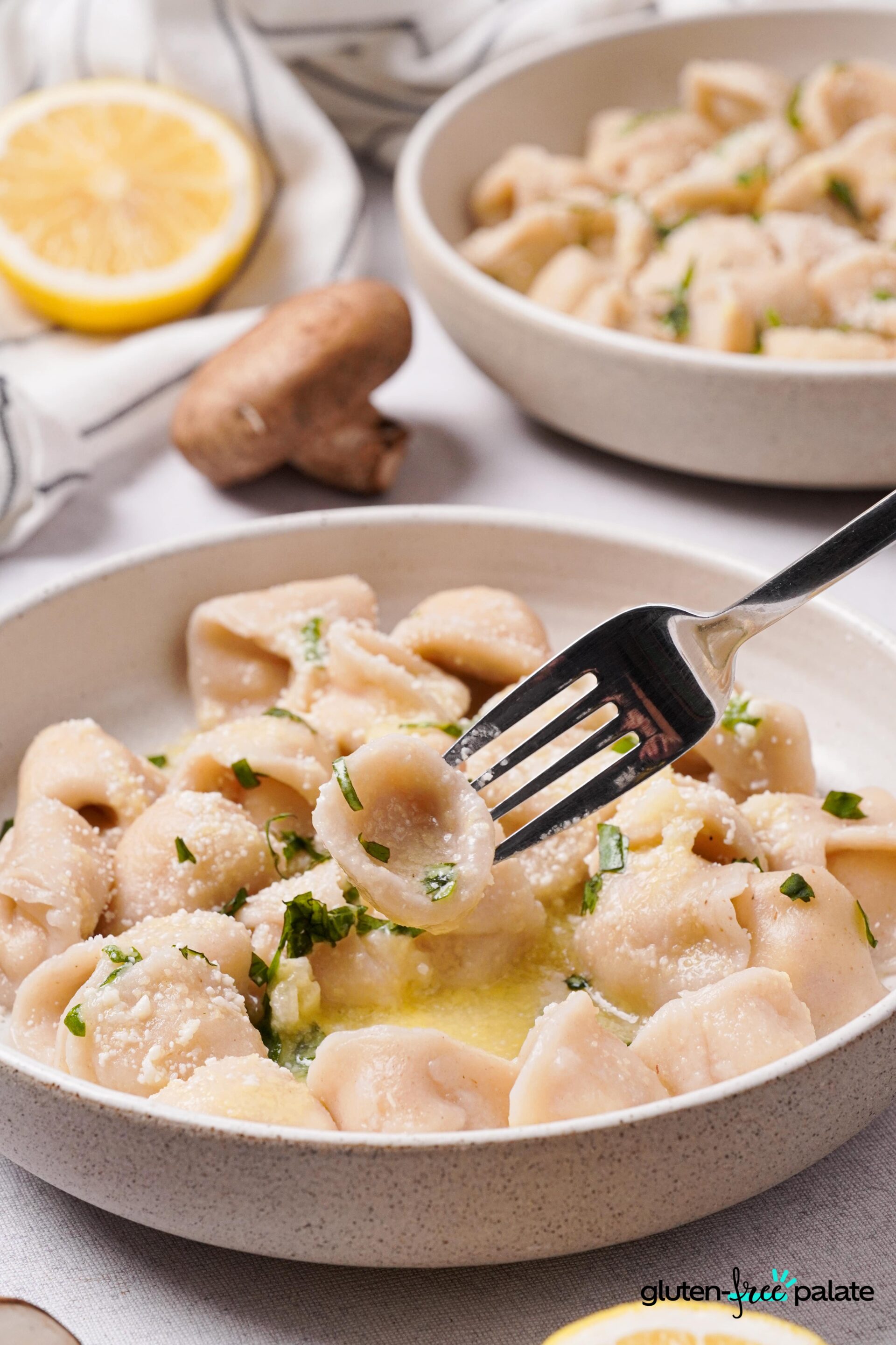 Gluten-Free Tortellini on a white plate with parmesan and basil sprinkled on top with a silver fork holding the tortellini up.