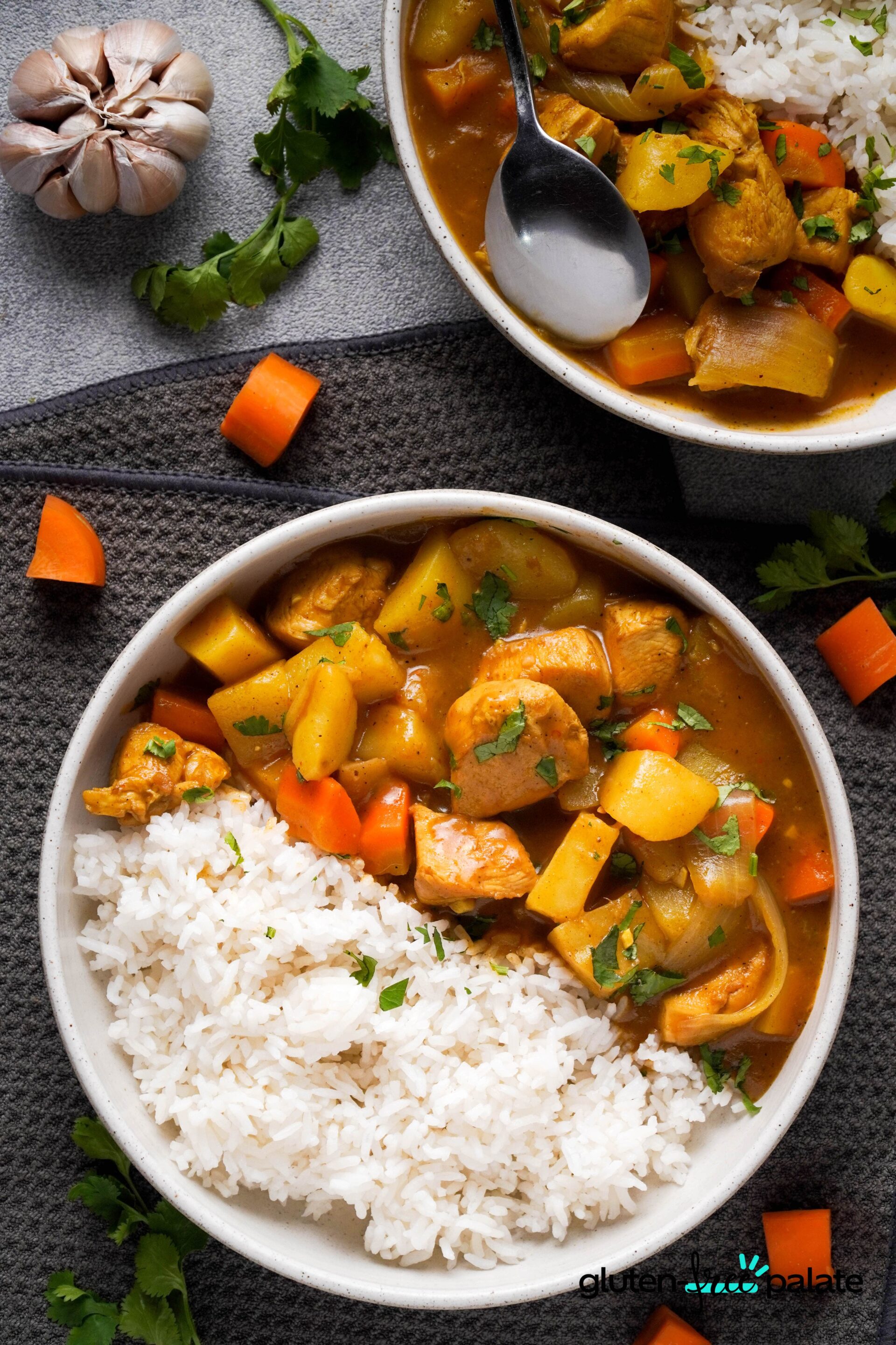 gluten-free curry in a white bowls with rice