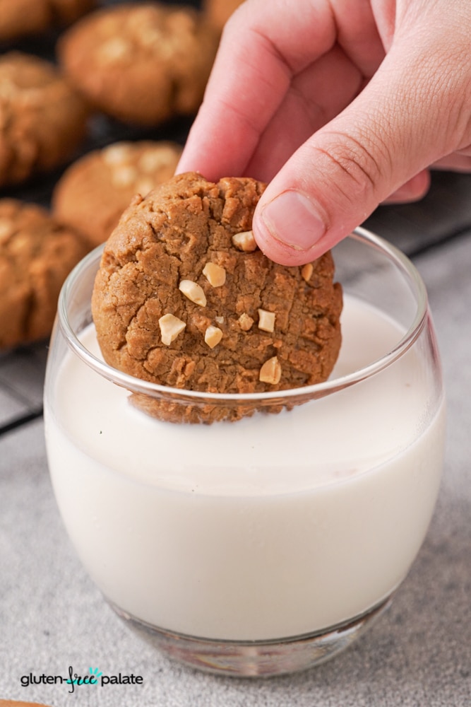 Gluten-free peanut butter cookie being dipped into a glass of milk.