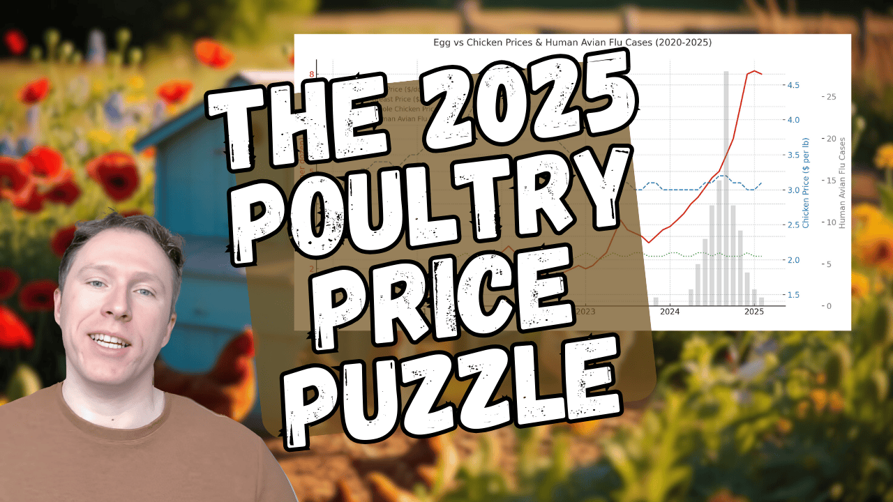 The price of eggs rose while the price of chickens dropped. Here's why.