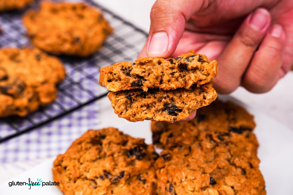 A hand holds a gluten-free oatmeal raisin cookie broken in half.