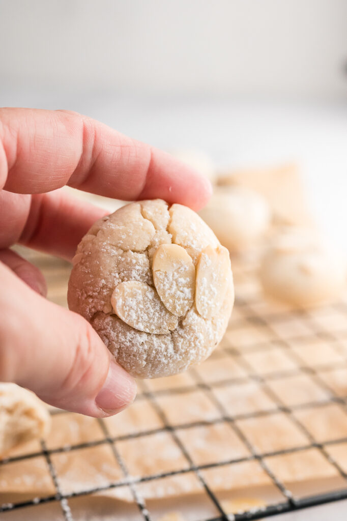 A hand holding a single almond cookie.